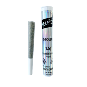 SELFIES - Groupie Gelato Crunch 1.5g Infused Pre-roll - Selfies 