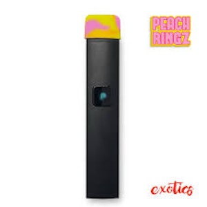 PLUGPLAY - Plug Play Disp. 1g | Melon Dew (H)