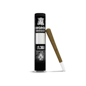 KingRoll 1.3g Big Surfer x Pacific Blue Indica