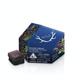 Wyld Gummies 100mg 2THC:1CBN Elderberry 