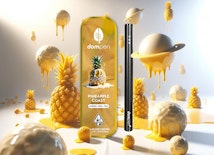 DOMPEN: PINEAPPLE COAST 1G ALL IN ONE