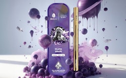 DOMPEN: PLUTO GRAPE 1G ALL IN ONE