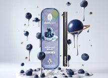 DOMPEN: MIDNIGHT BERRY 1G ALL IN ONE