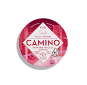 Kiva | Camino Tin - Wild Cherry 