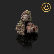 The Heights Co | Piescream | indoor flower