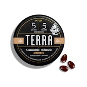 Terra Dark Chocolate (1:1) CBD Almonds [20 ct]