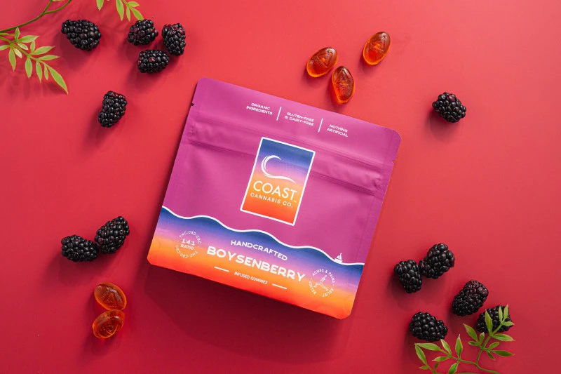 COAST - 1:4:1 Boysenberry Gummies - 100mg - TBI Main Image