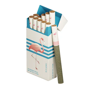 Classic Indica | 10 pack | Birdies