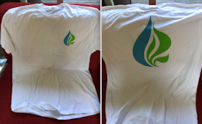 Natural Green ReLeaf T-Shirt