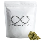 (P) Perpetual | Compton Landrace (I) - Flower 3.5g