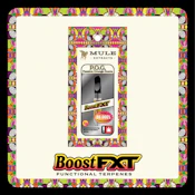 POG FXT Cartridge 1g