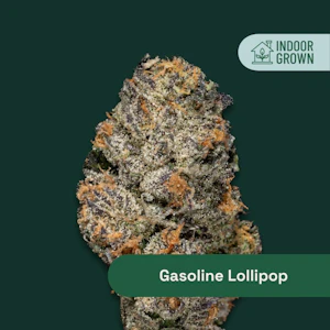 Botanist - The Botanist | Gasoline Lolipop | Hybrid - Small Buds 14G
