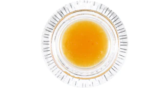 ABX - Papaya Punch Badder - 1g
