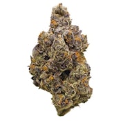 Rainbow Marker | 3.5G Flower | Hybrid