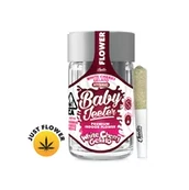 Jeeter - Jeeter - White Cherry Gelato - 5pk Non-Infused PreRolls Main Image