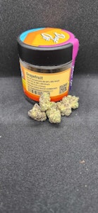 DAZE OFF - Grapefruit - 3.5g (S) - Daze Off