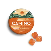 Camino - Recover Freshly Squeezed - Gummy - 20 x 5mg