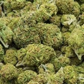 Amsterdam | Spritzer | ounces