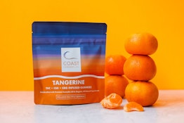 Tangerine Gummies 1:1:1 - 100mg - TBI