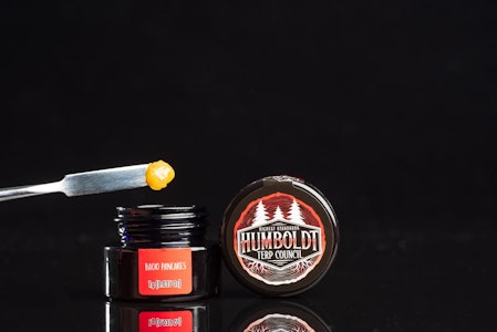 HUMBOLDT TERP COUNCIL - Bacio Pancakes - Live Resin - 1g (I) - Humboldt Terp Council