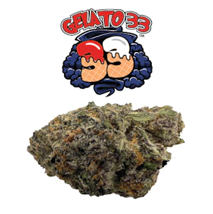 FARMS BRAND - Gelato 33 3.5g Jar - Farms Brand 