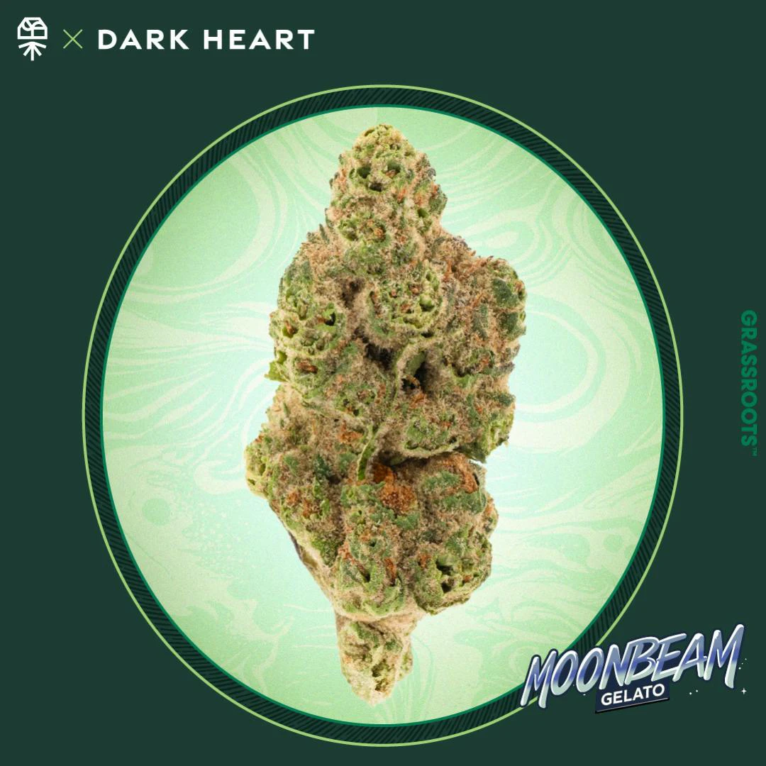 Dark Heart by Grassroots - Dark Heart - Moonbeam Gelato - Flower - 3.5g Main Image