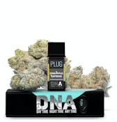 PLUGplay: DNA - Pineapple Express 1g Pod (H)