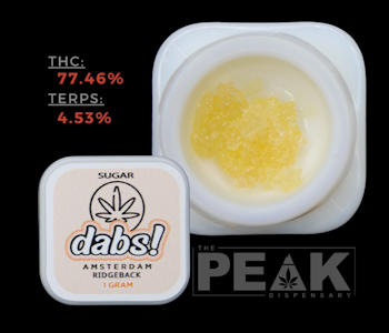 Amsterdam Extracts - AMSTERDAM EXTRACTS | 1G RIDGEBACK SUGAR
