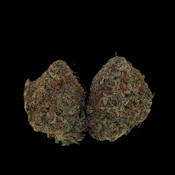 Carbon Diesel -- Ounce