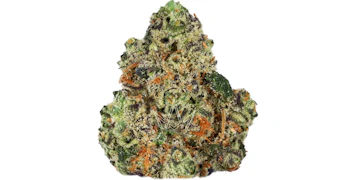 Pure Beauty - Spritzer - 3.5g