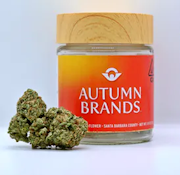 Autumn Brands 3.5g Sundae Strudel $30