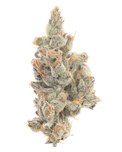 Team Elite Genetics - Tropical Juice Box - 3.5g (SH) - Team Elite Genetics