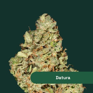 Botanist - The Botanist | Datura  | 14g Sativa 