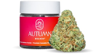 Autumn Brands - Mule Fuel - 3.5g