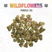 West Coast Trading Company - Purple OG (Mixed Light Smalls) - 3.5g