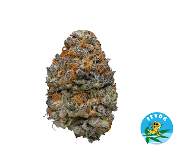 SFVOG - SFVOG/Sunset Sherbet/3.5g/(H)