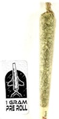 P37 - 10 Gs -1G - Pre roll