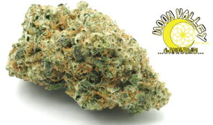 Moon Valley Cannabis | Gorilla Dog #4 | Indoor Living Soil Flower | 1/8oz