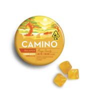 Kiva Camino Gummies Mango Serenity CBD 1:1