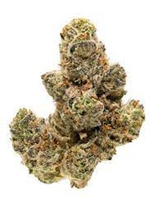 HOUSE OF DANK - Mendo Breath | 1G PRE-PACK
