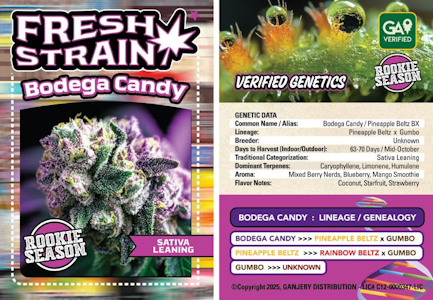 FRESH STRAIN - FRESH STRAIN | BODEGA CANDY | FLOWER | 3.5G