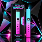 Playmate Pod Battery - Pink & Teal