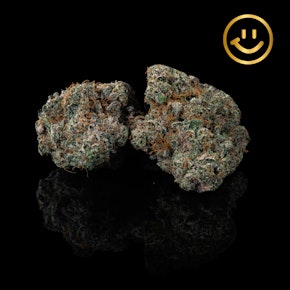 Rosebud Growers | Lumpy Space Princess | indoor flower