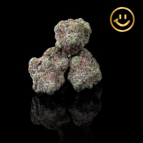 Grown Rogue | Tea Time | indoor flower