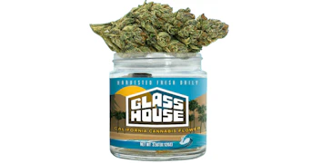 Glass House Farms - Sugar Tarts - 3.5g