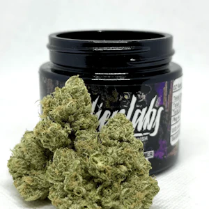 Alien Labs - Alien Labs Indoor 3.5g - OZ Kush 35%