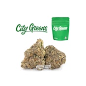 City Greens - Master Splinter - 1/8th