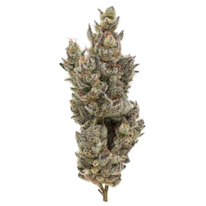 FIG FARMS - Holy Moly!