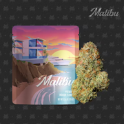 Seed Junky Genetics - 3.5g - Malibu