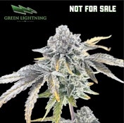 [REC] Green Lightning | Not For Sale | 28g Mixed Buds